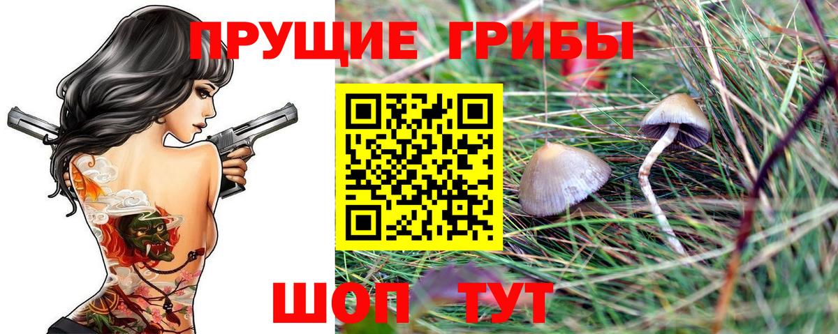 Псилоцибиновые грибы Cubensis  Псилоцибиновые грибы GOLDEN TEACHER  Верхняя Салда  Вход с VPN 